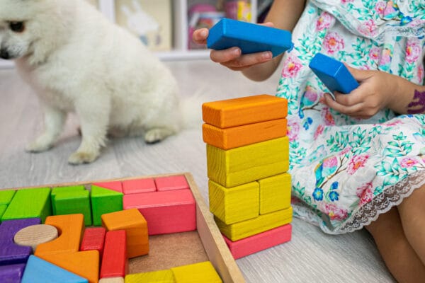 Деревяний конструктор кольоровий. 48 деталей. Екопродукт. 26х35см - Зображення 9