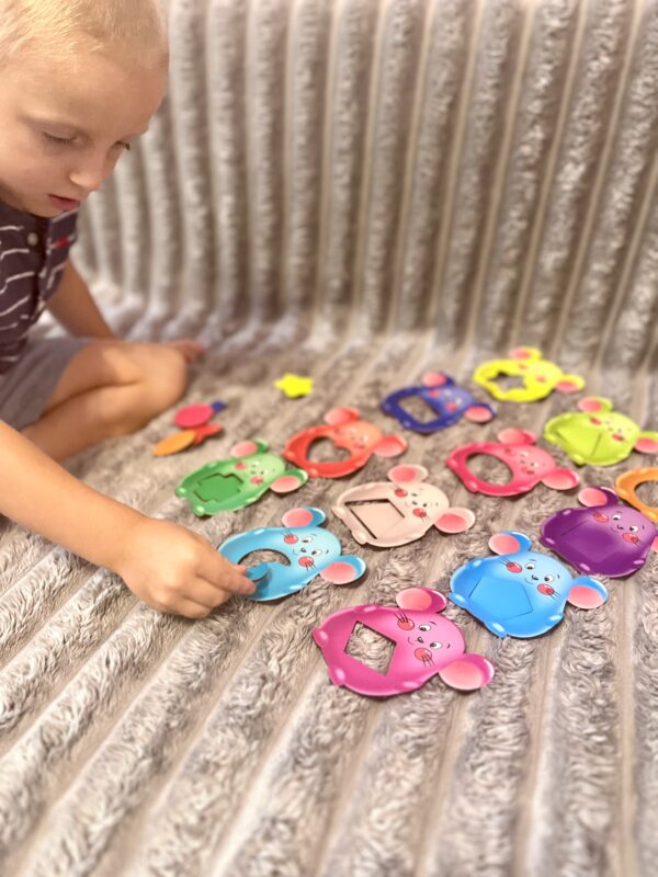 Мишенята Дощечки Сегена Мишенята Дощечки Сегена